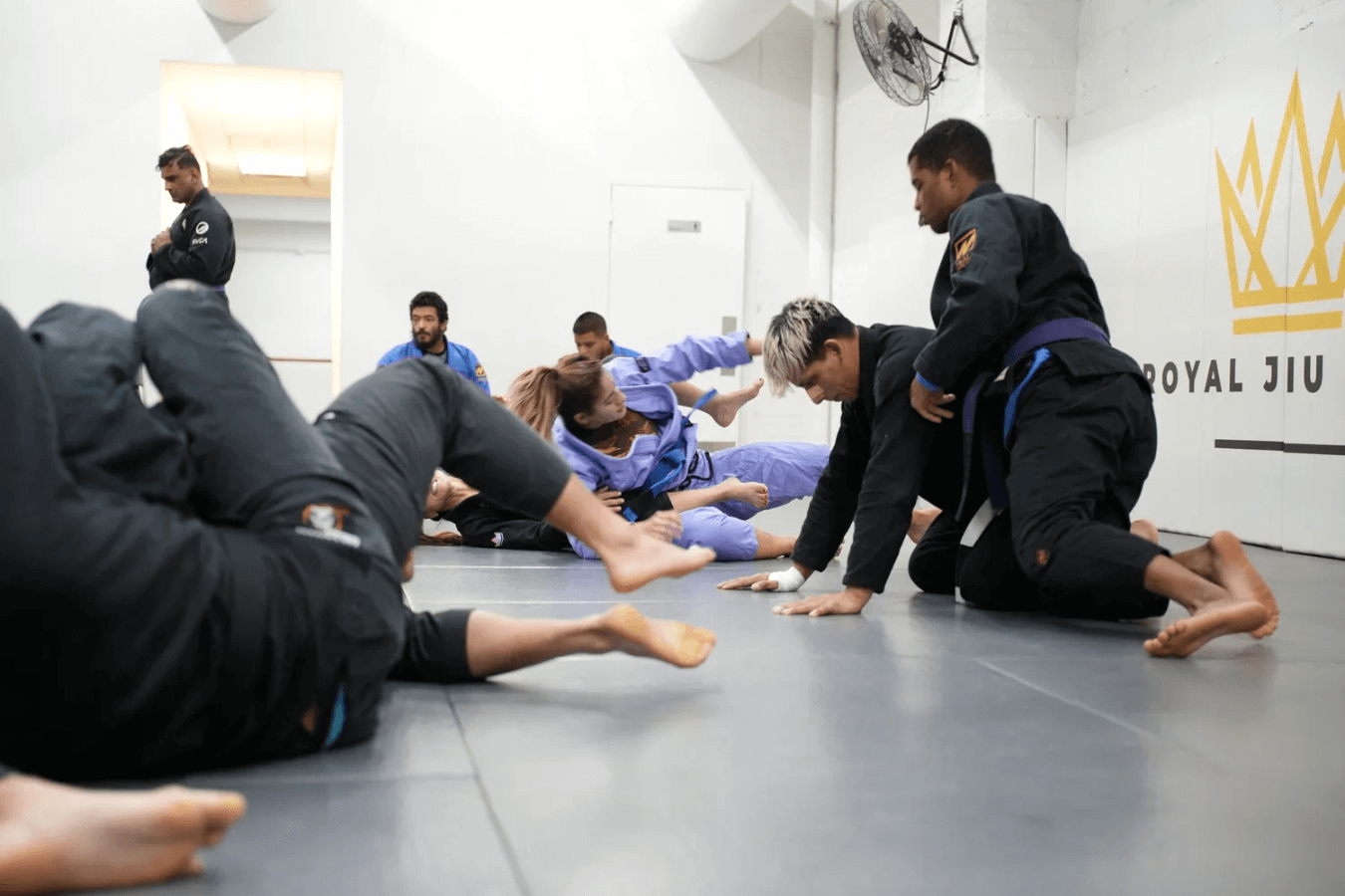 Adult students rolling in brazilian jiu jitsu at Royal Jiu-Jitsu Queens in Queens, NY.