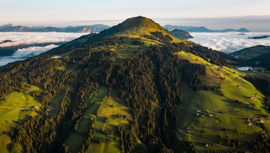 An aerial view of a mountain covered in trees and clouds.