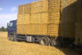 A loaded hay lorry