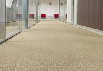 carpet flooring of a office