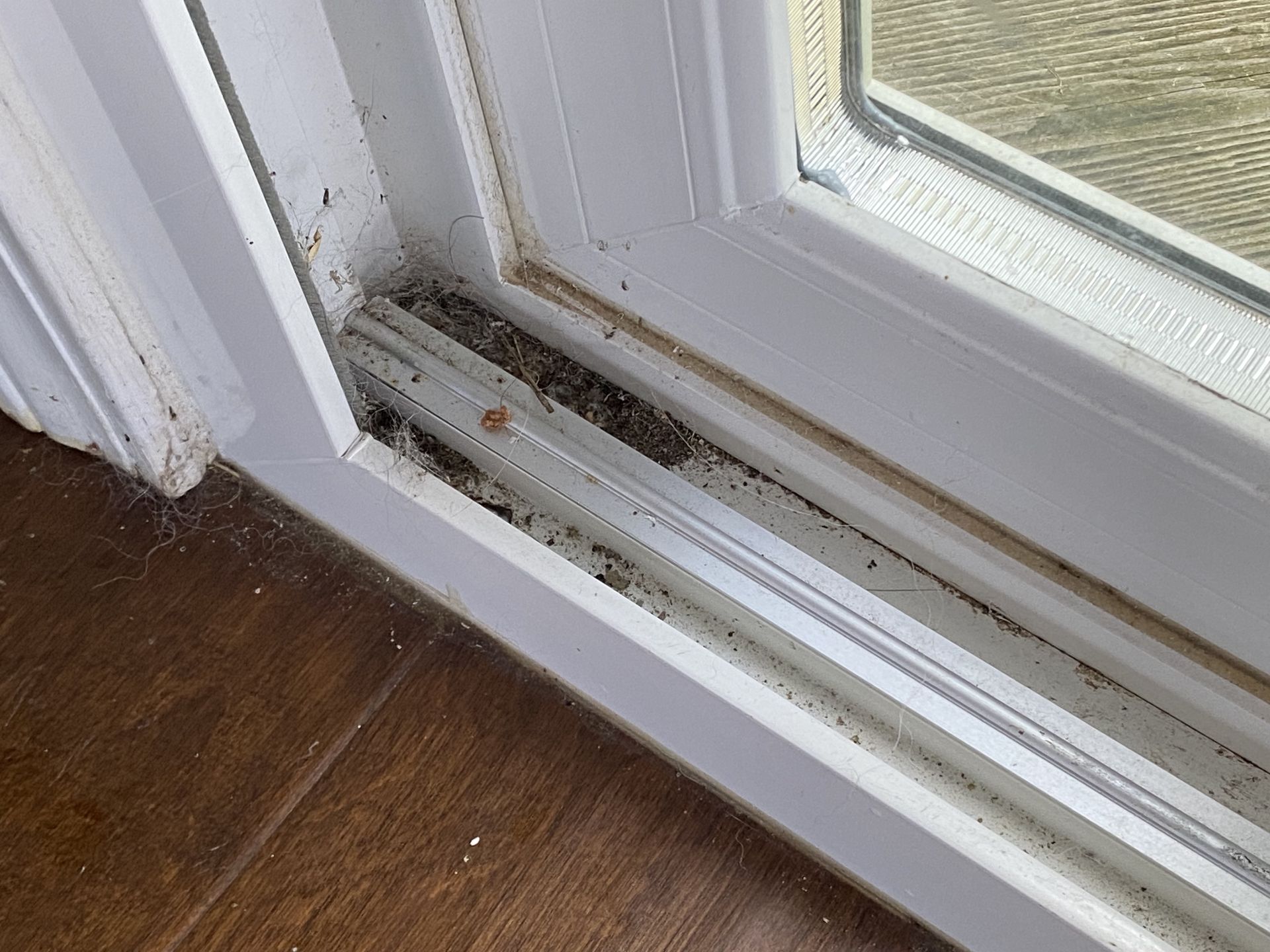 a close up of a sliding glass door with bugs on it .