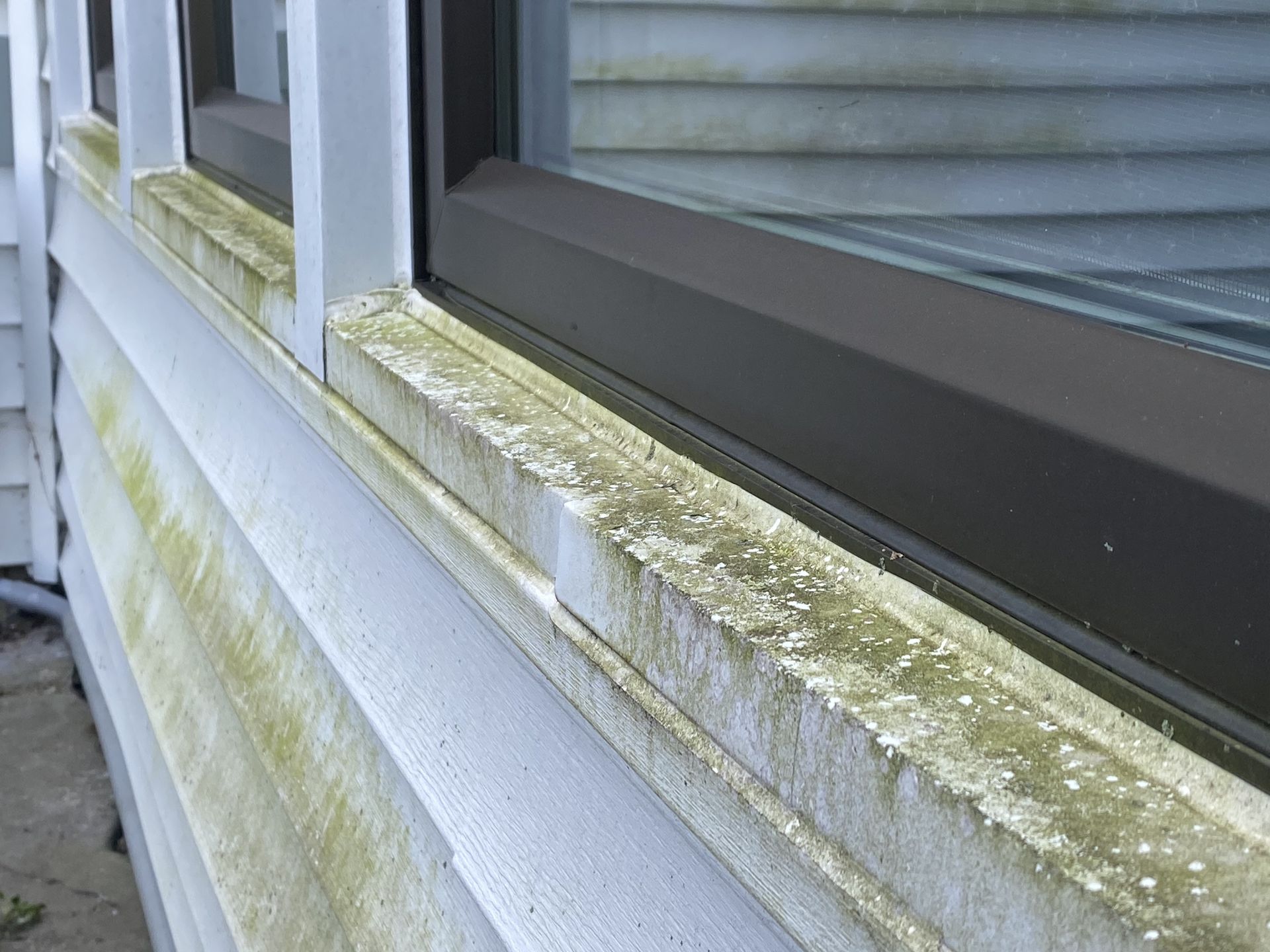 a close up of a window sill on a house with green algae growing on it .