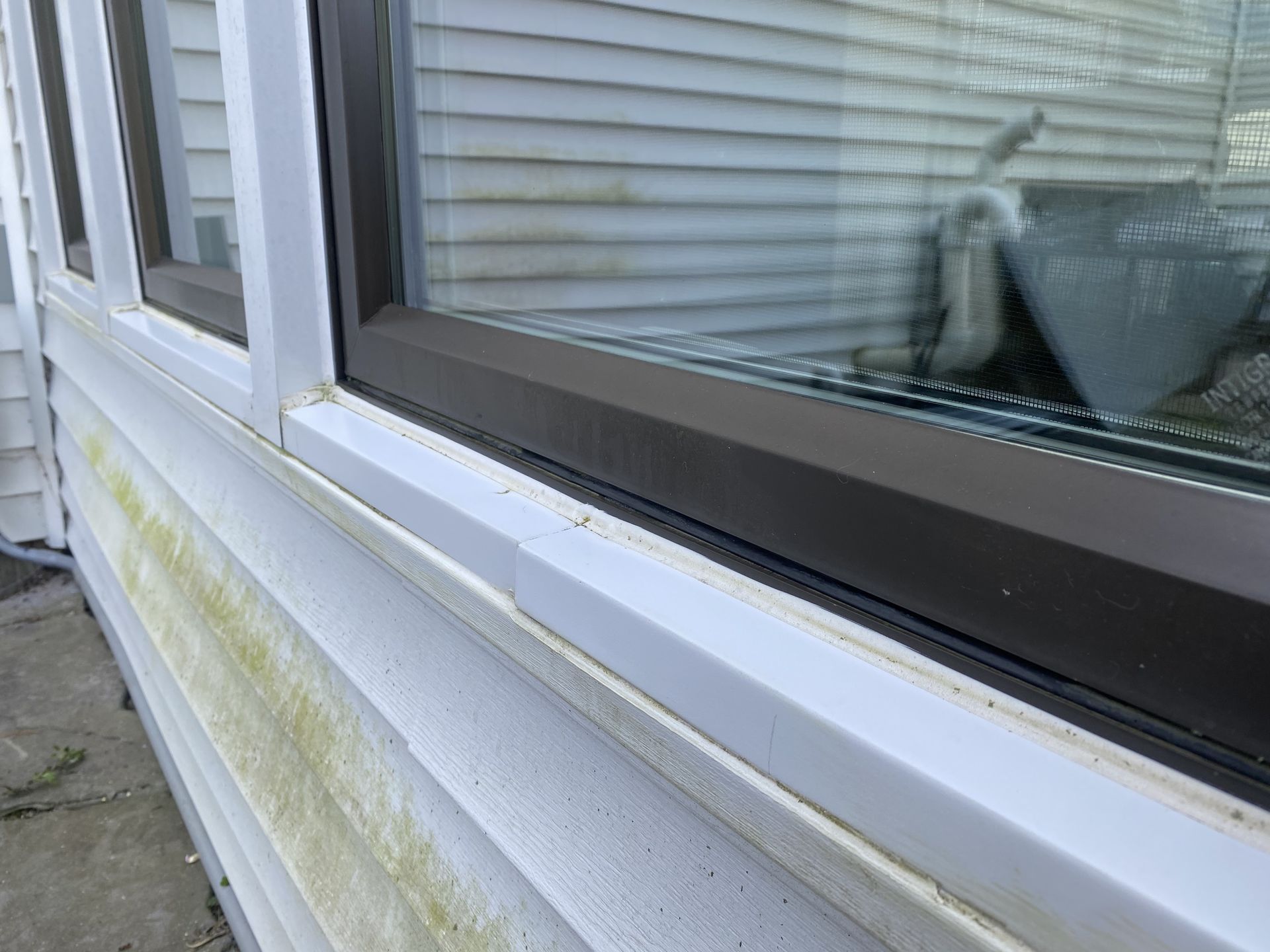 a close up of a window on the side of a house .