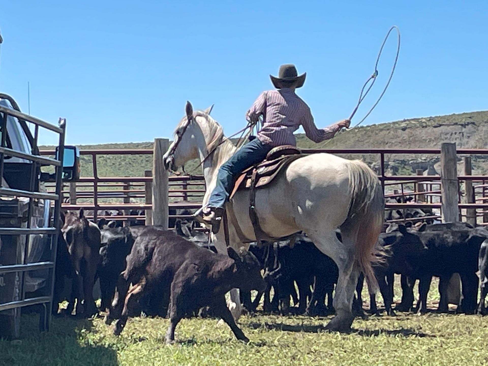 Two Sleep Ranch and Cattle Co.