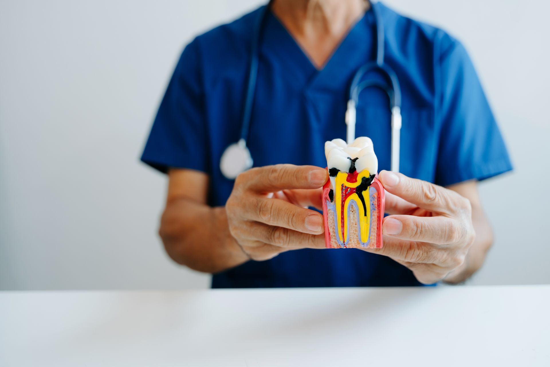 Dentist holding a colorful cross-section model of a tooth in a blue clinic uniform