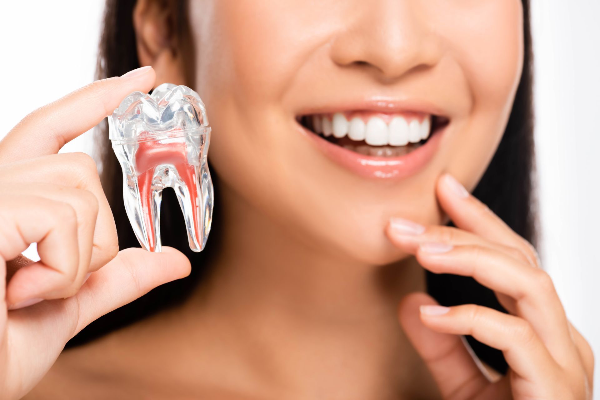 Woman smiling, holding a transparent model of a tooth, showing internal structure.