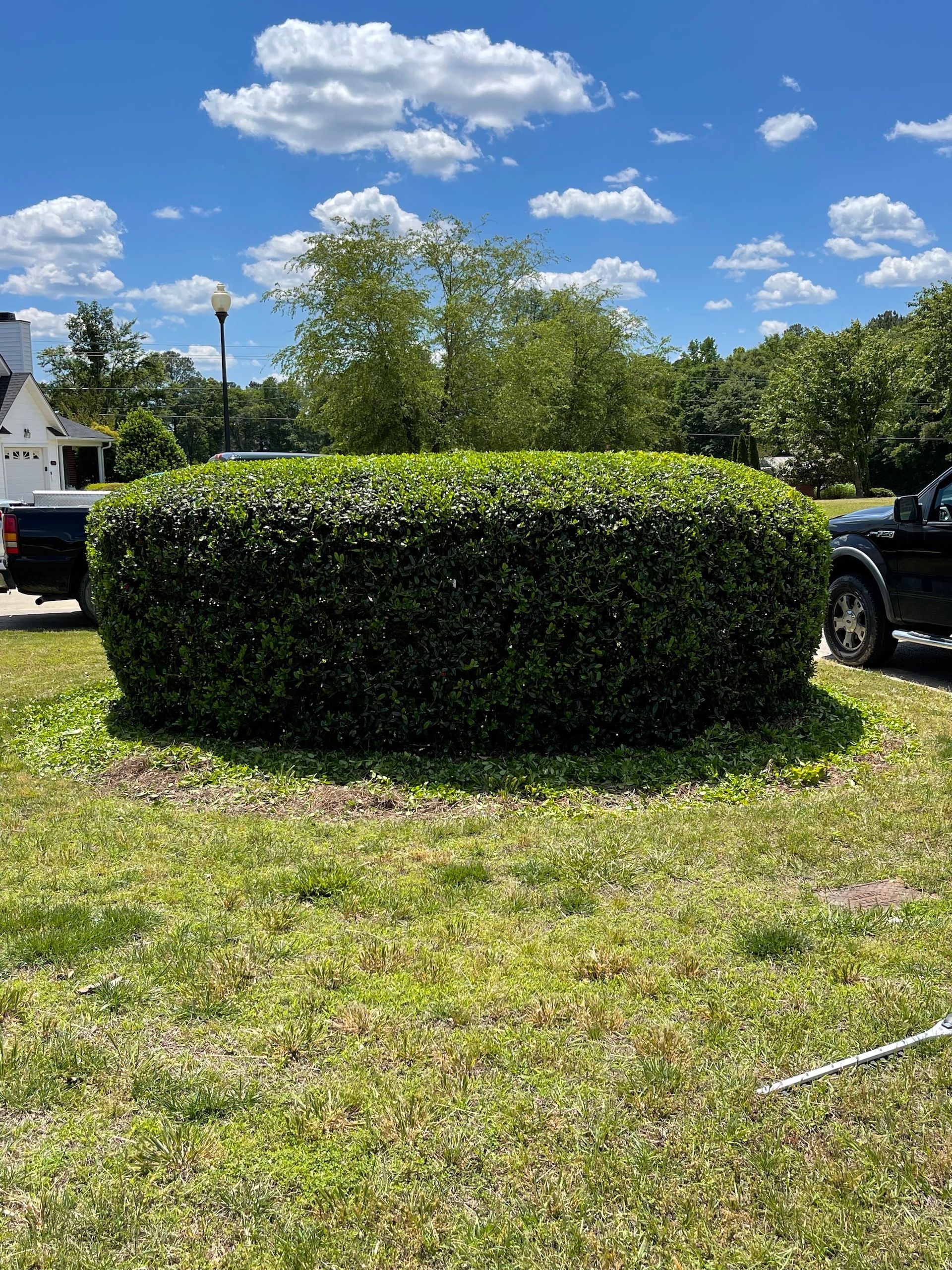 Landscape Maintenance