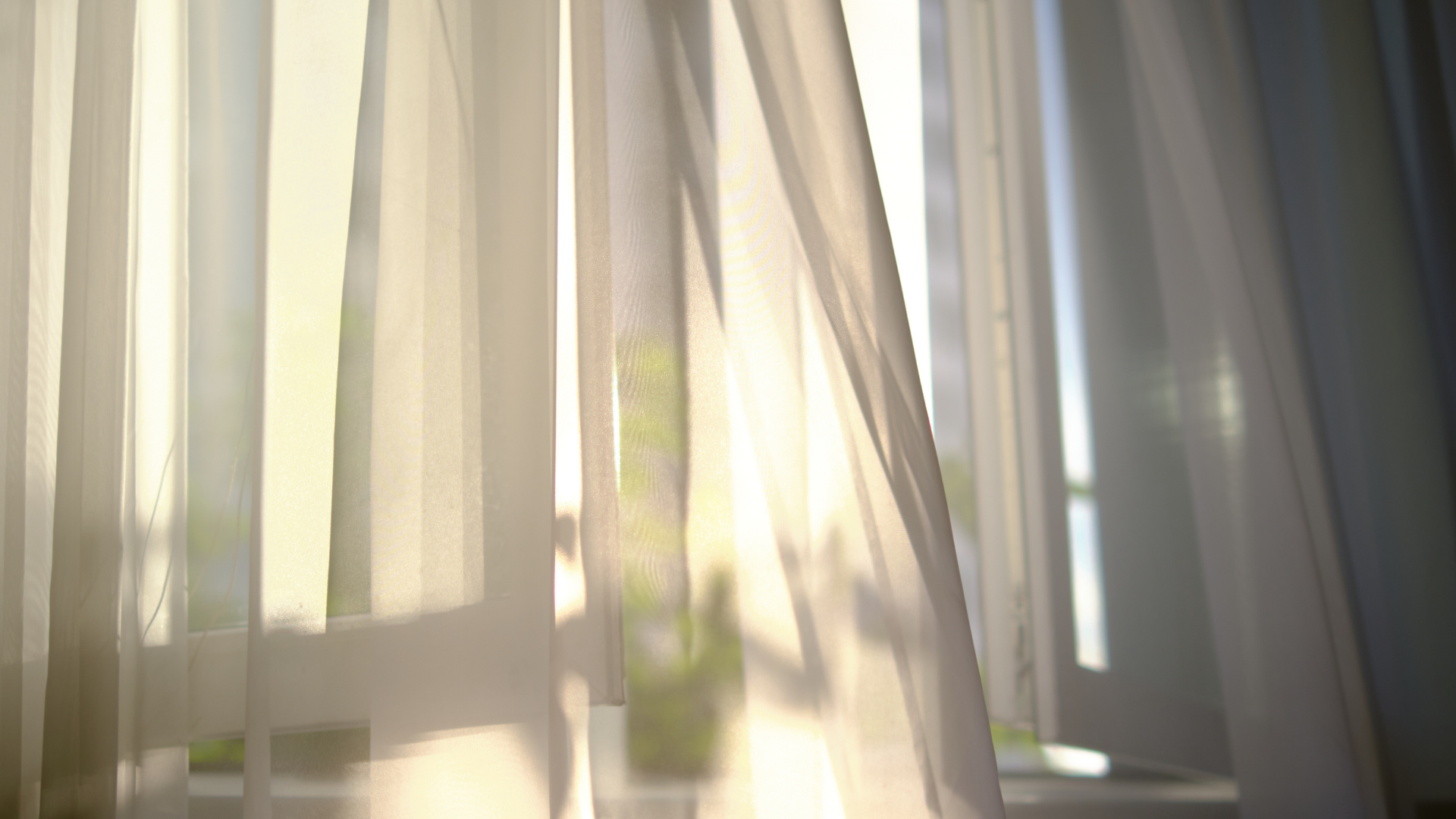 Sheer white curtains blowing gently in front of a bright window, sunlight streaming through.