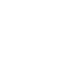 Klein Logo