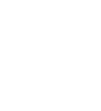 Payne Logo