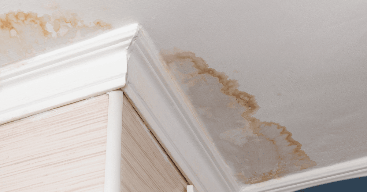 Advice on Hiring a Highland Park Water Damage Company