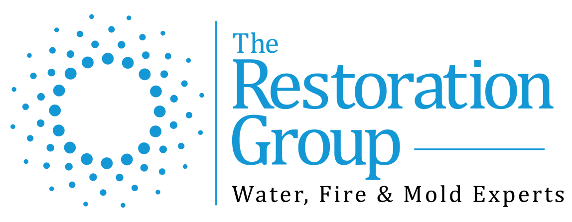 The Restoration Group - Central NJ