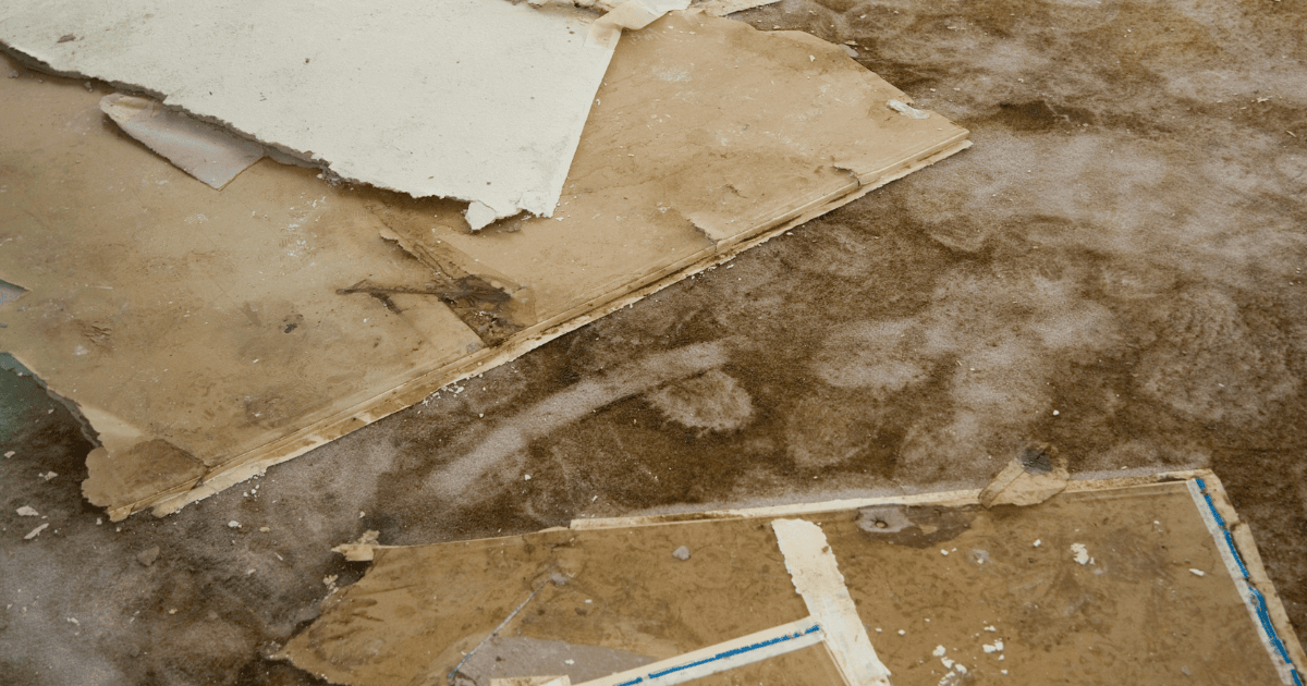 How to Treat Water Damage Cleanup for Different Types of Water