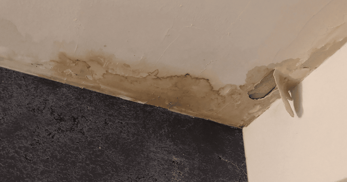 7 Common Mistakes to Avoid When Hiring a Water Damage Contractor