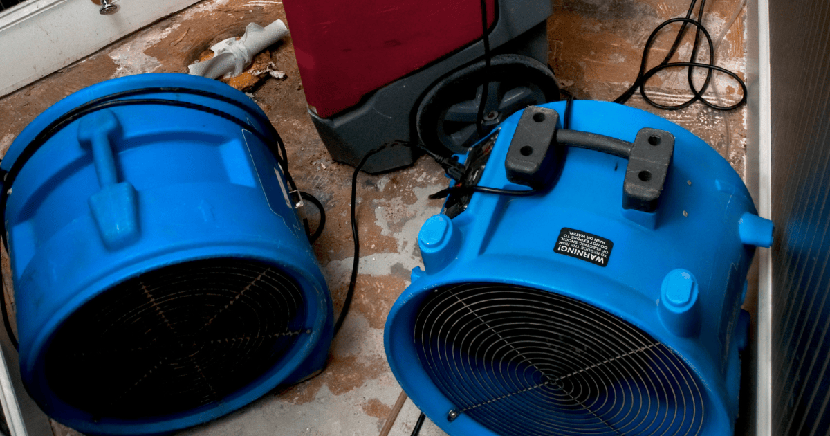 What to Expect from a Water Damage Restoration Company