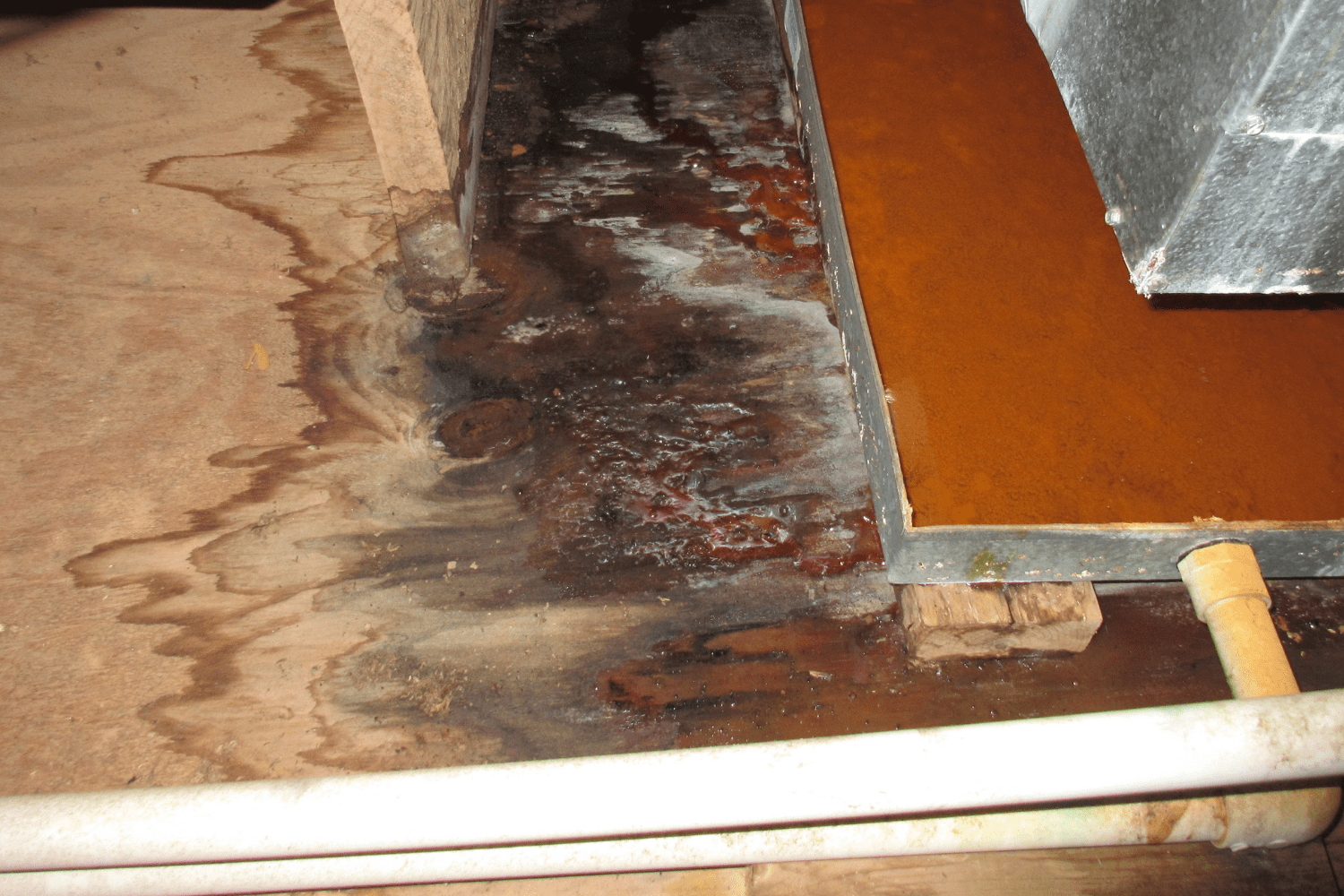 How Should You Deal with Water Damage on Wood Floors?