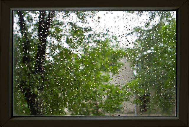 Window Condensation Explained - Wesenberg Homes