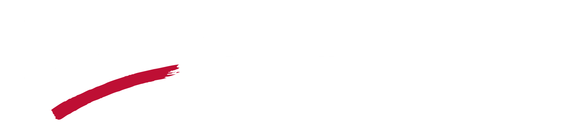 LWV Houston Logo