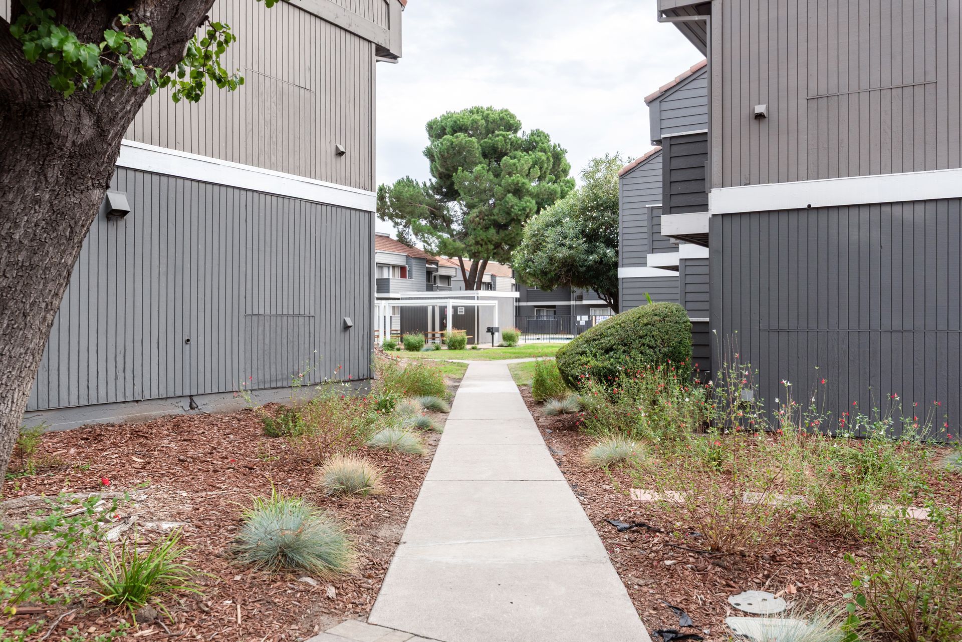 Concrete path between apartment buildings, leading to a courtyard with a pool.
