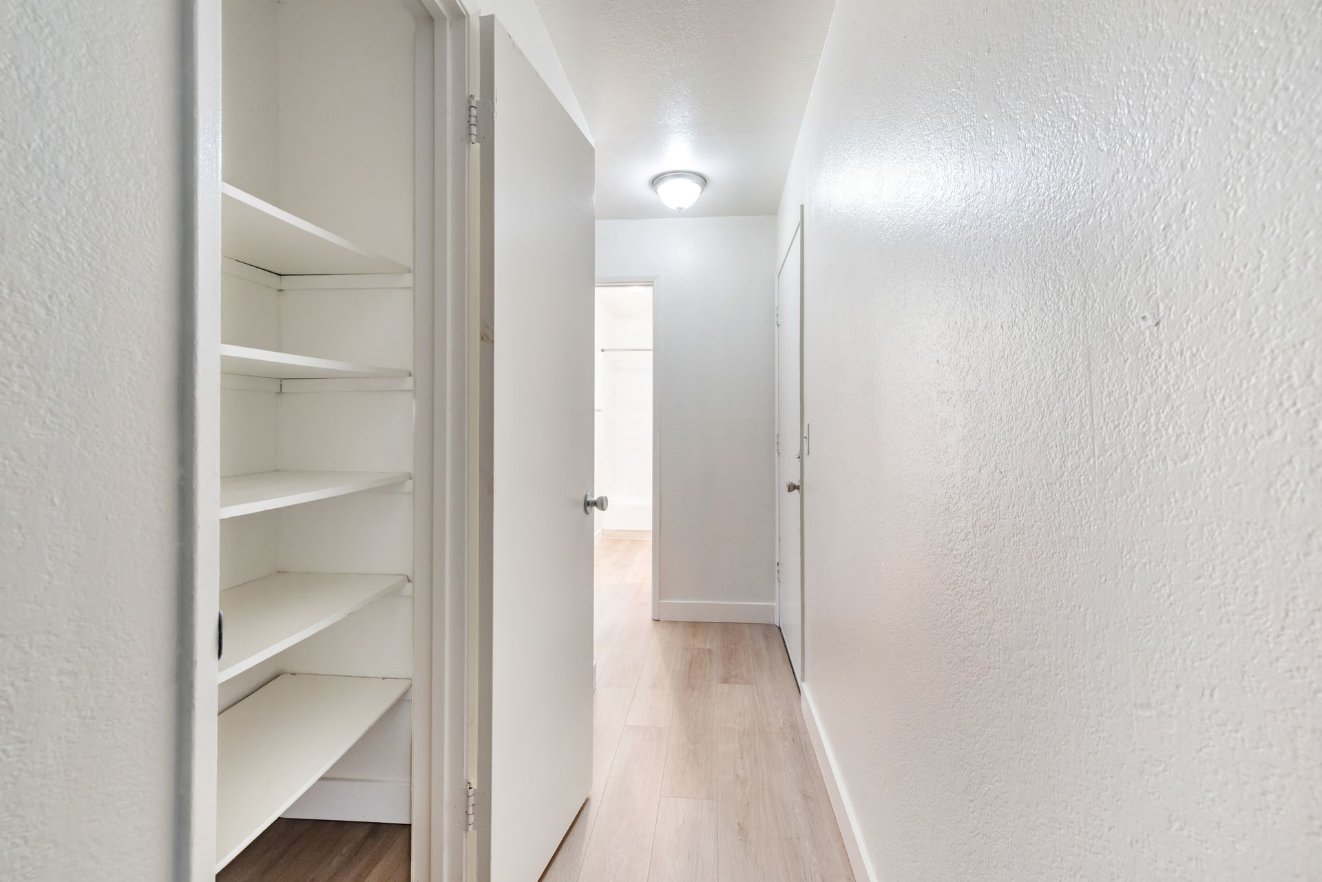 Hallway with white walls, pantry, and a doorway. Light wood-look flooring.