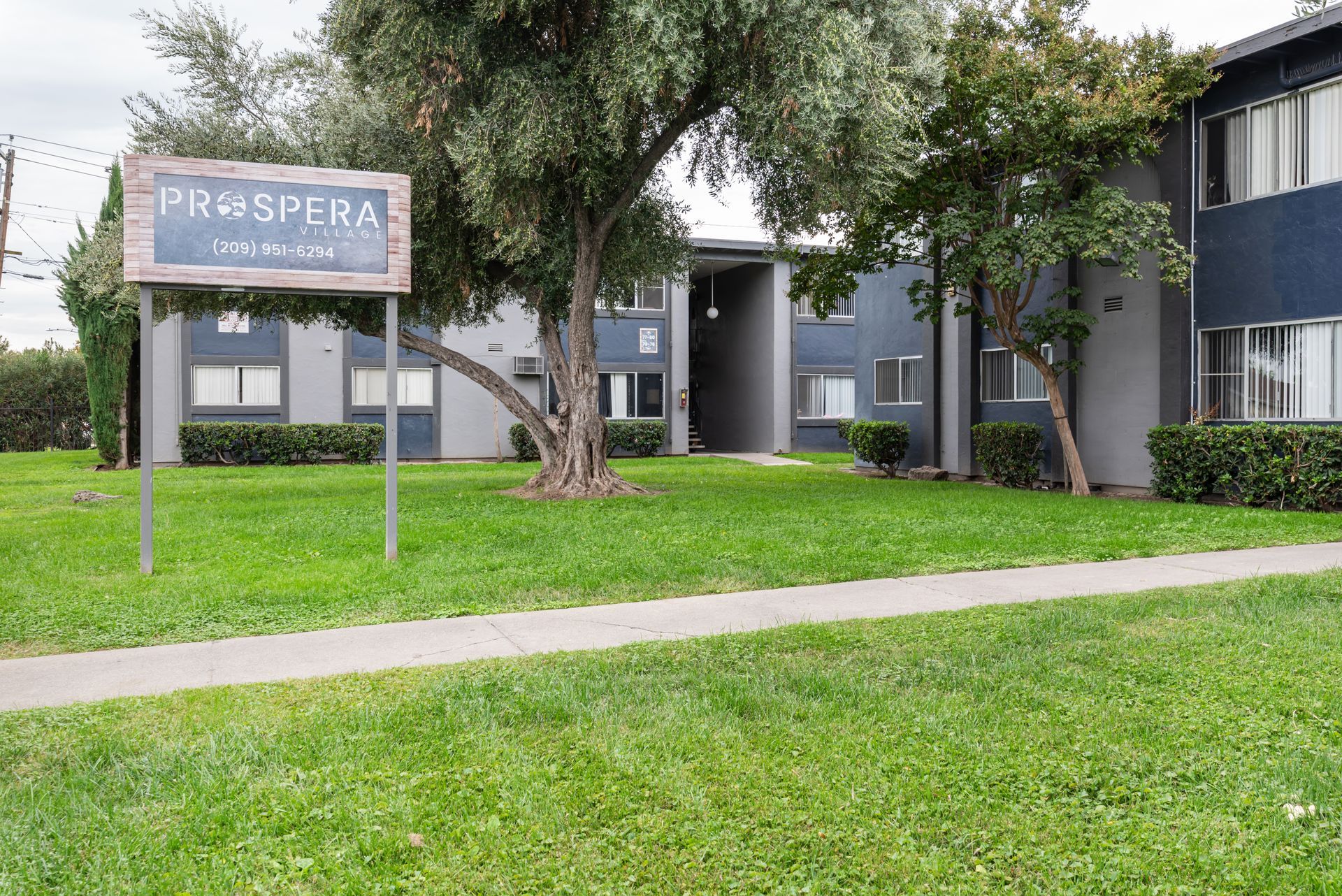 Apartment building exterior, framed by trees and green lawn, with a walkway. Blue sky.
