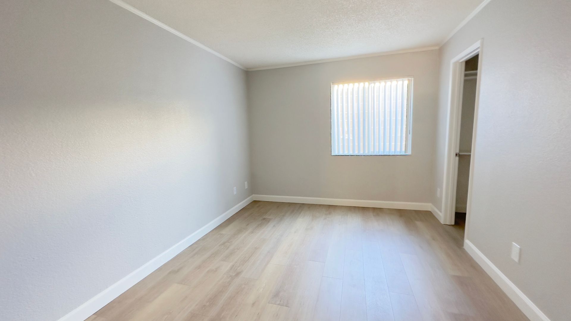 Empty room with light wood floor, gray walls, window with blinds, and closet.