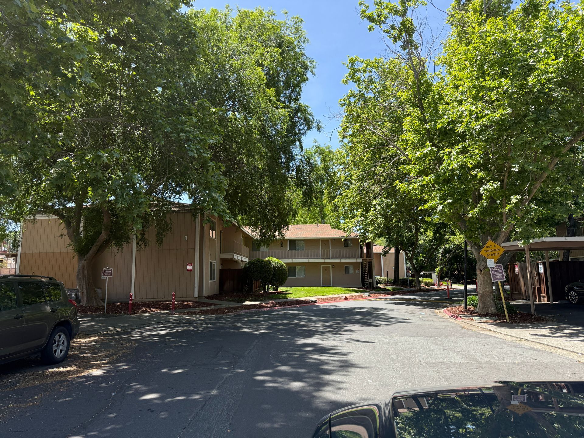 Apartment complex on a sunny day, with trees lining a street and cars parked nearby.