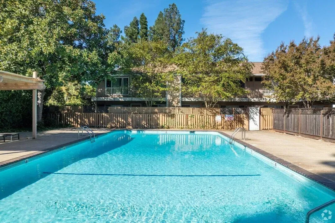 Outdoor rectangular pool with clear blue water, surrounded by trees and a wooden fence.