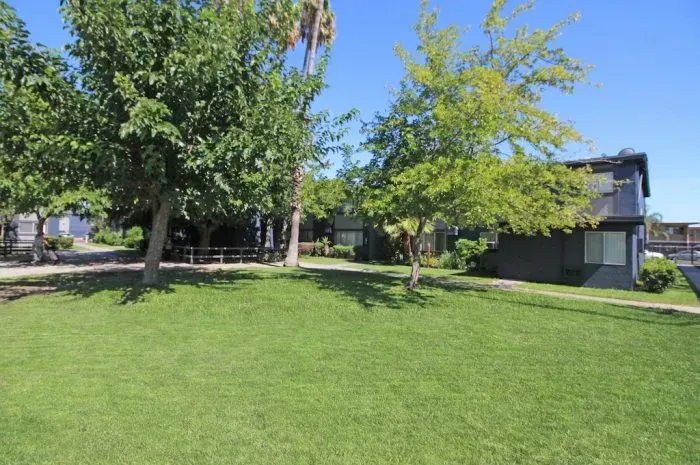Green lawn with trees in front of blue buildings under a clear blue sky.