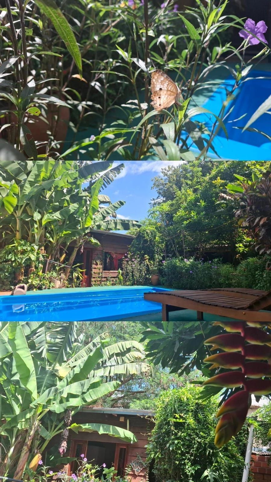 una piscina rodeada de árboles y flores.