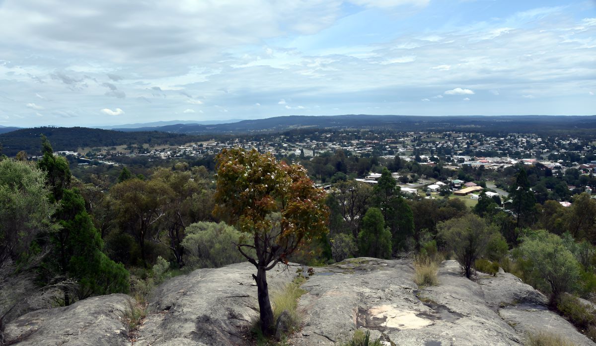 A View of a City From a Hill With Trees in the Foreground — Newcastle Paediatric Occupational Therapy in Broadmeadow, NSW