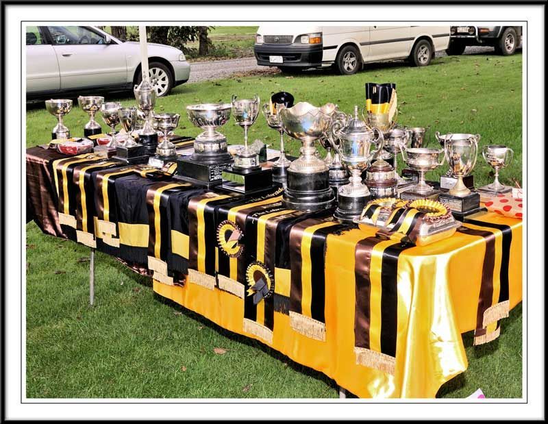 2025 Champ Show Results