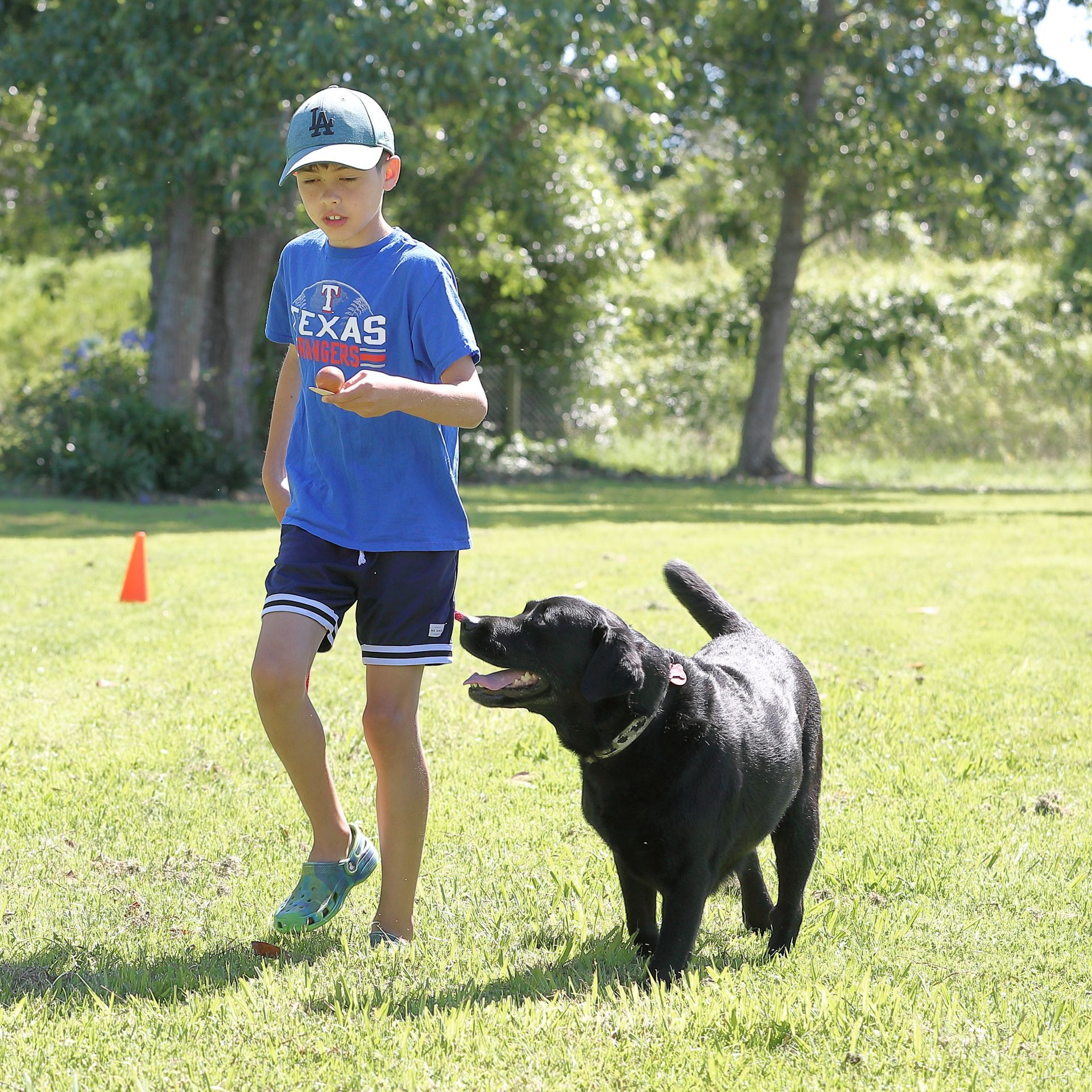 Boy in blue shirt and shorts walking with a black dog on a grassy field.