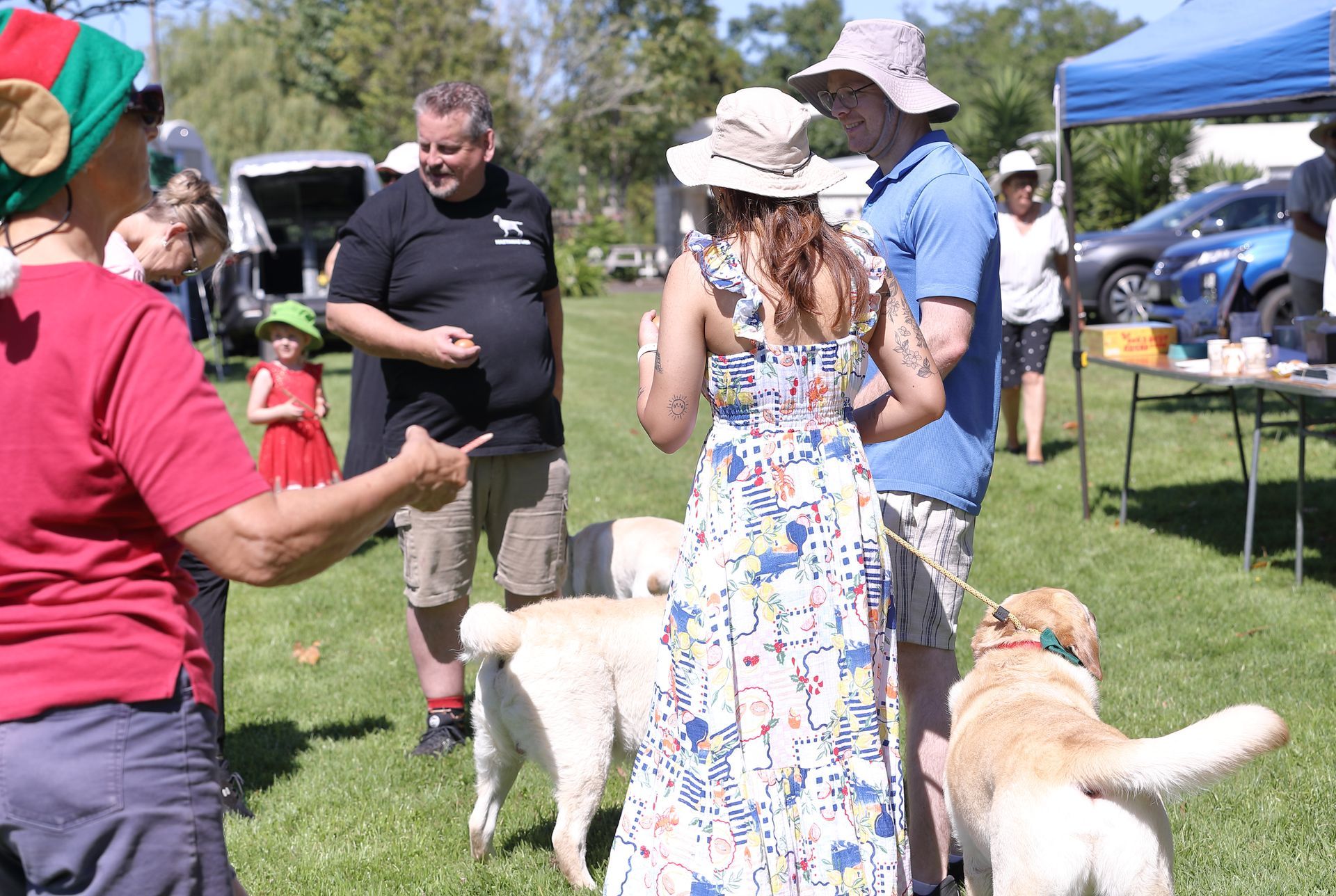 People interacting with dogs in a grassy park setting; some are wearing hats, and there is a food table.