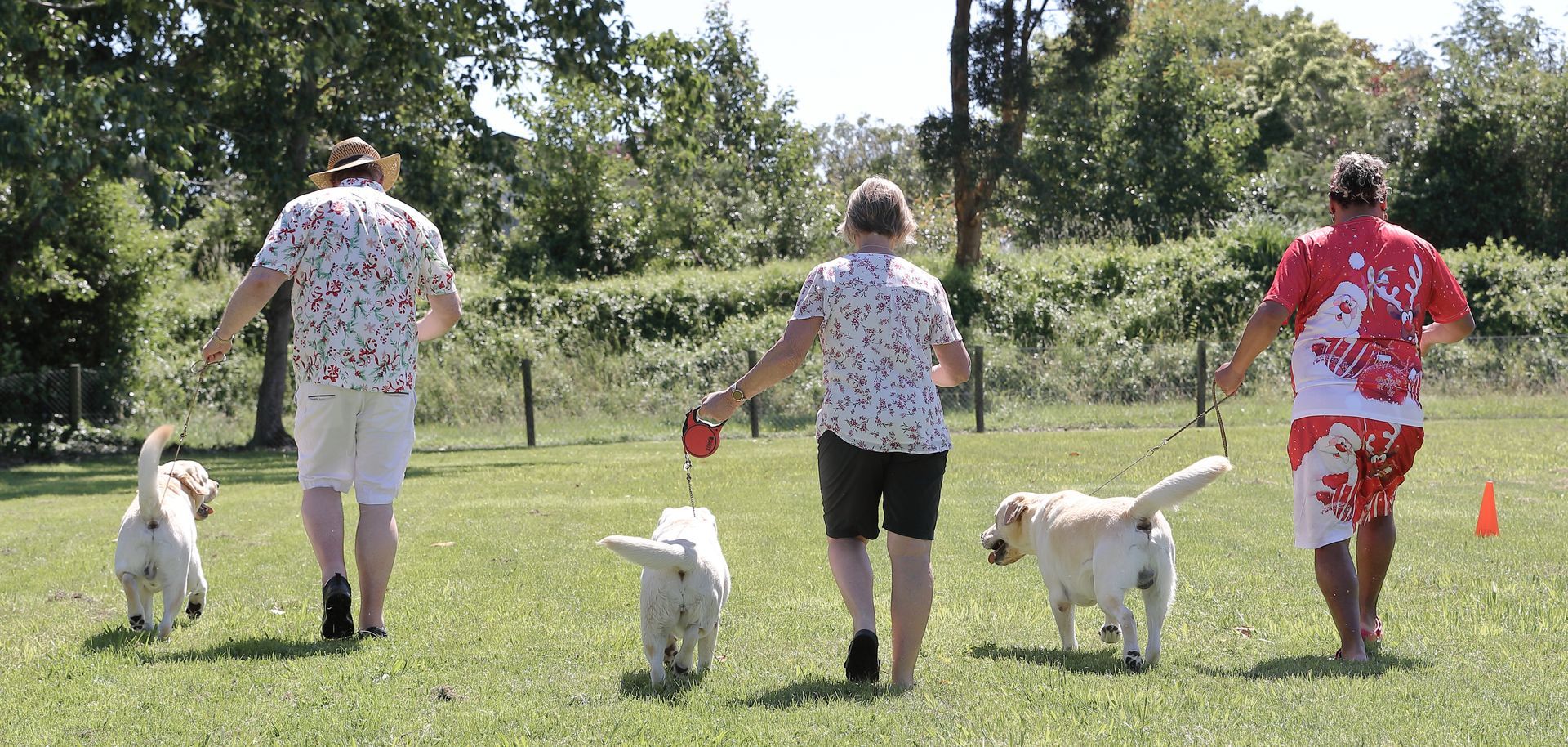 Three people walking golden retrievers on a grassy field; sunny day.