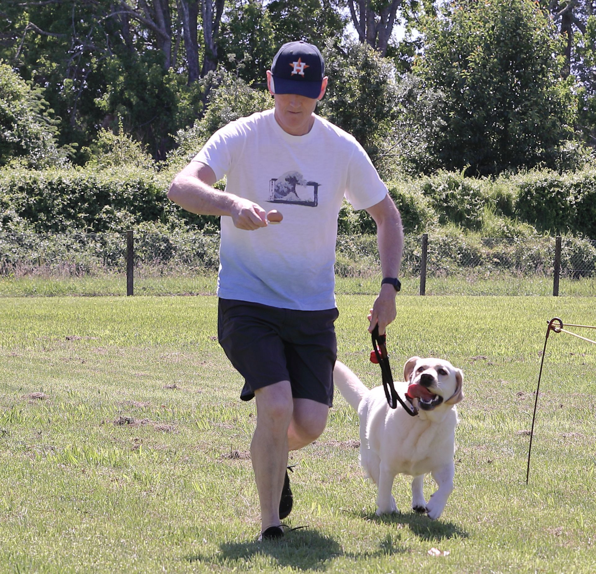 Man jogging with a yellow Labrador on a leash in a grassy field.