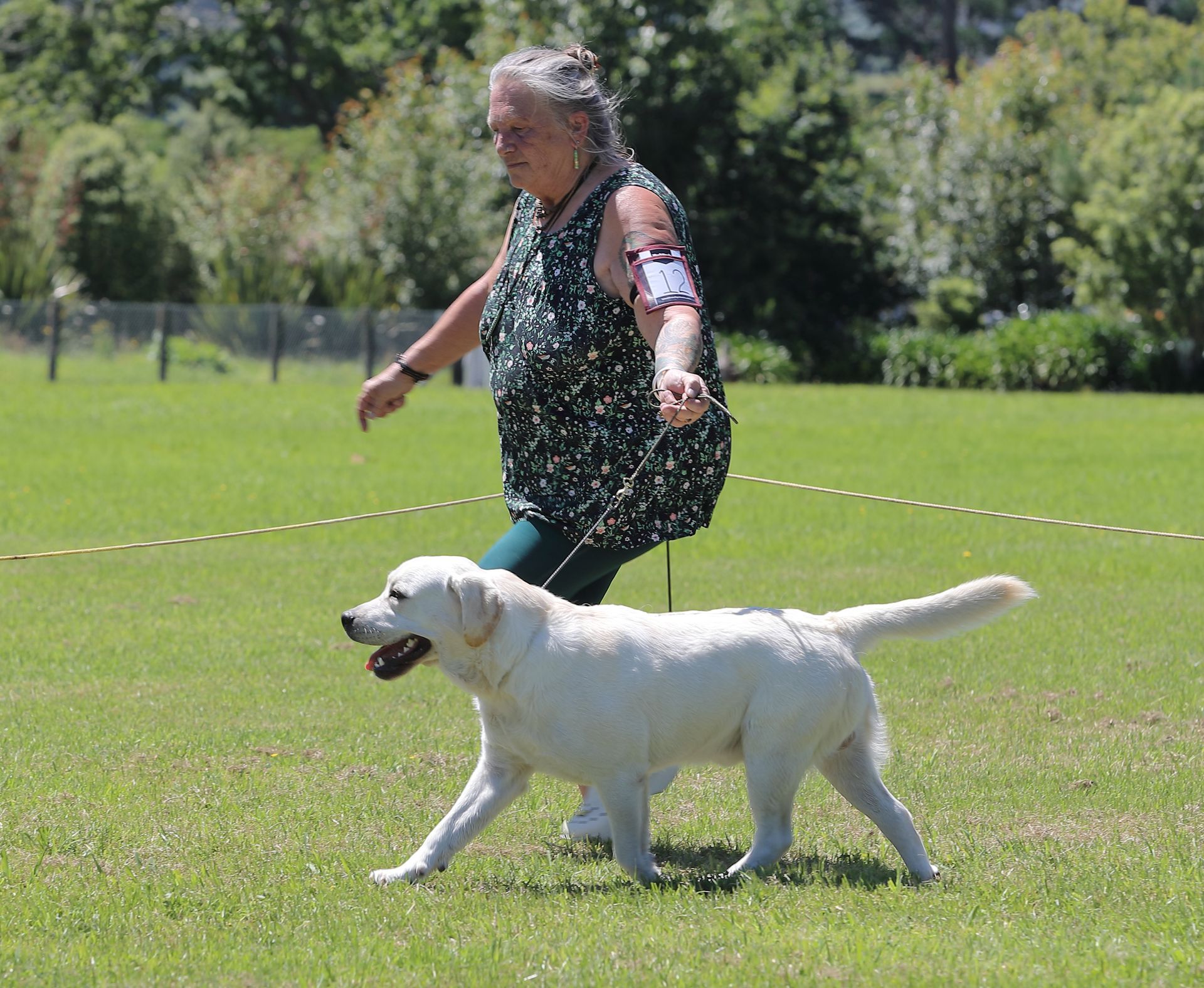 Woman walking a white dog on a leash in a grassy field on a sunny day.