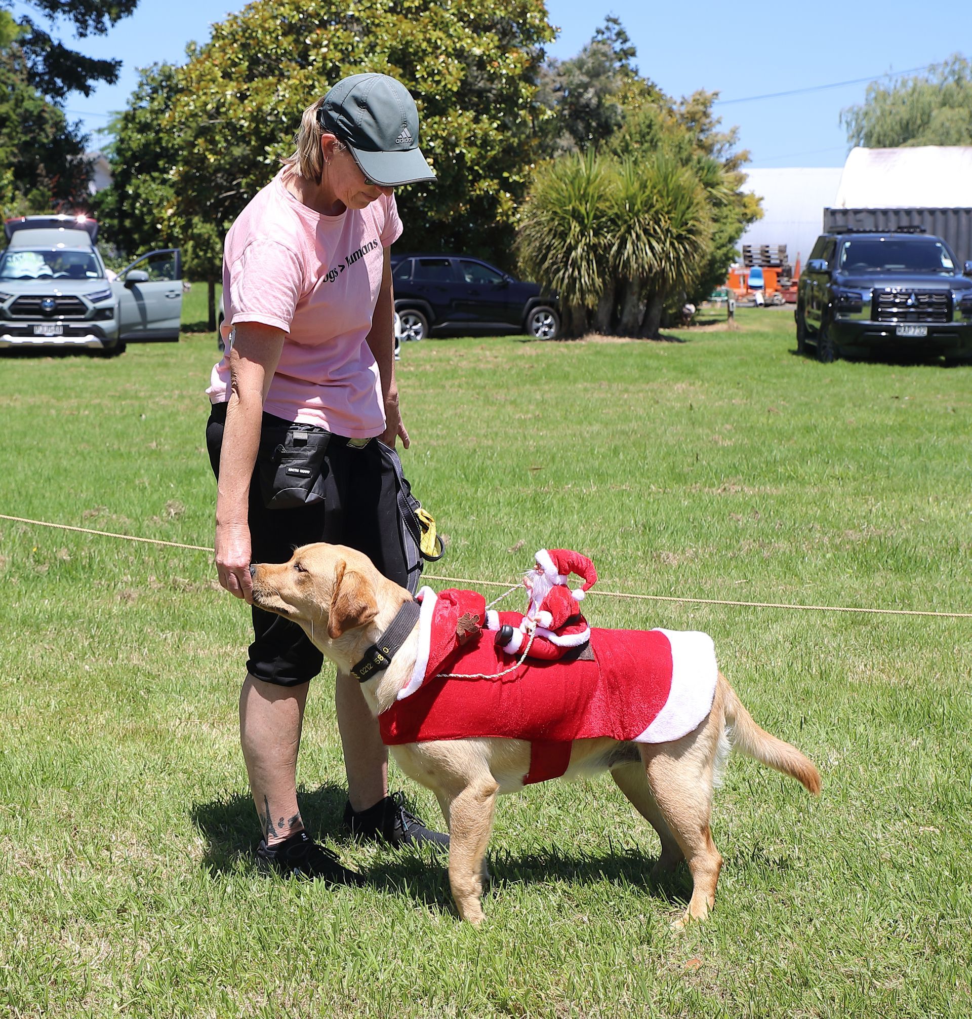 Woman with dog in Santa costume on a grassy field, cars in background.