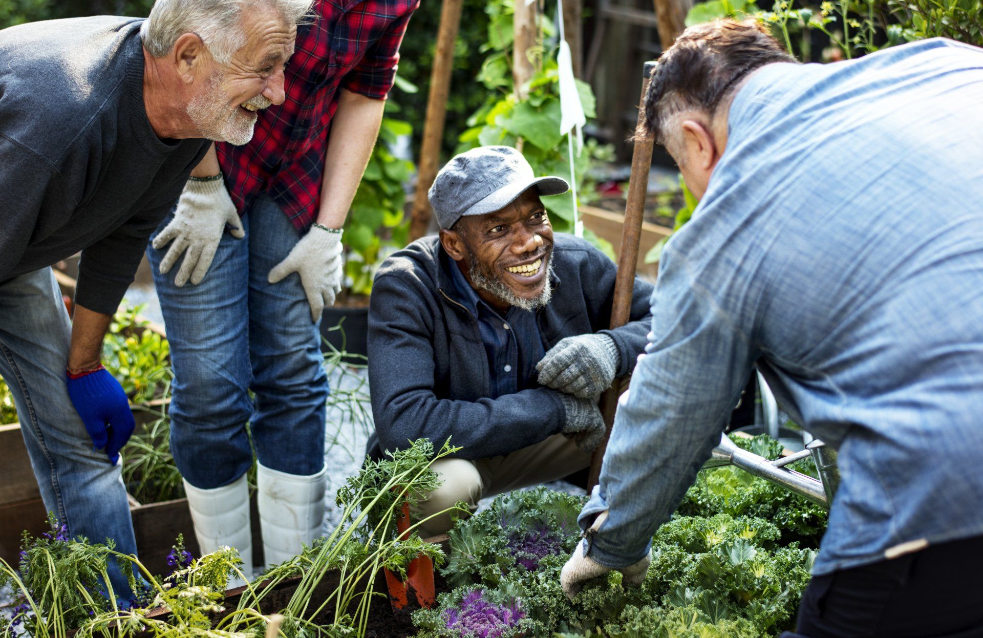 Premium Landscaping Contractor— Group of People Planting Vegetable in Doylestown, PA