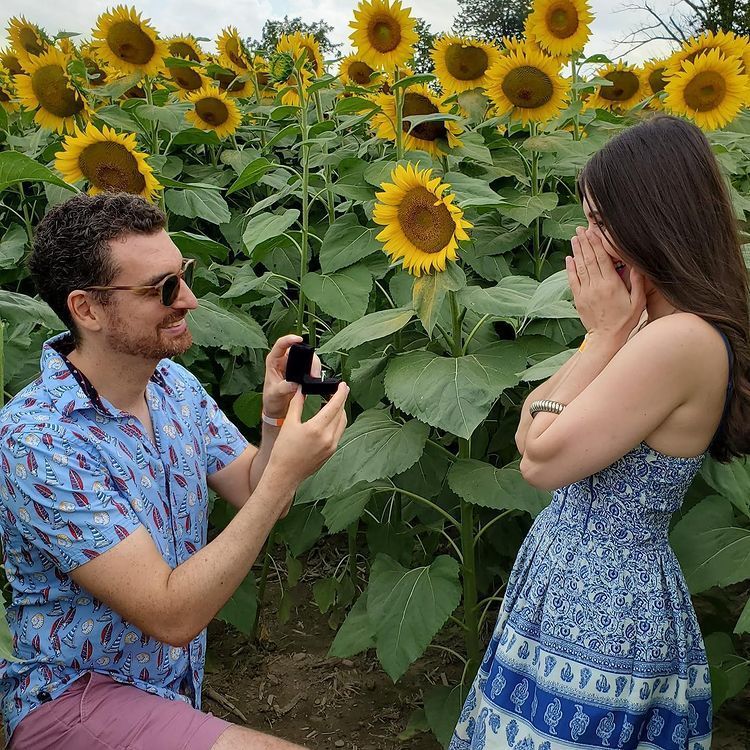 Kimberfire couple proposal in field of sunflowers.