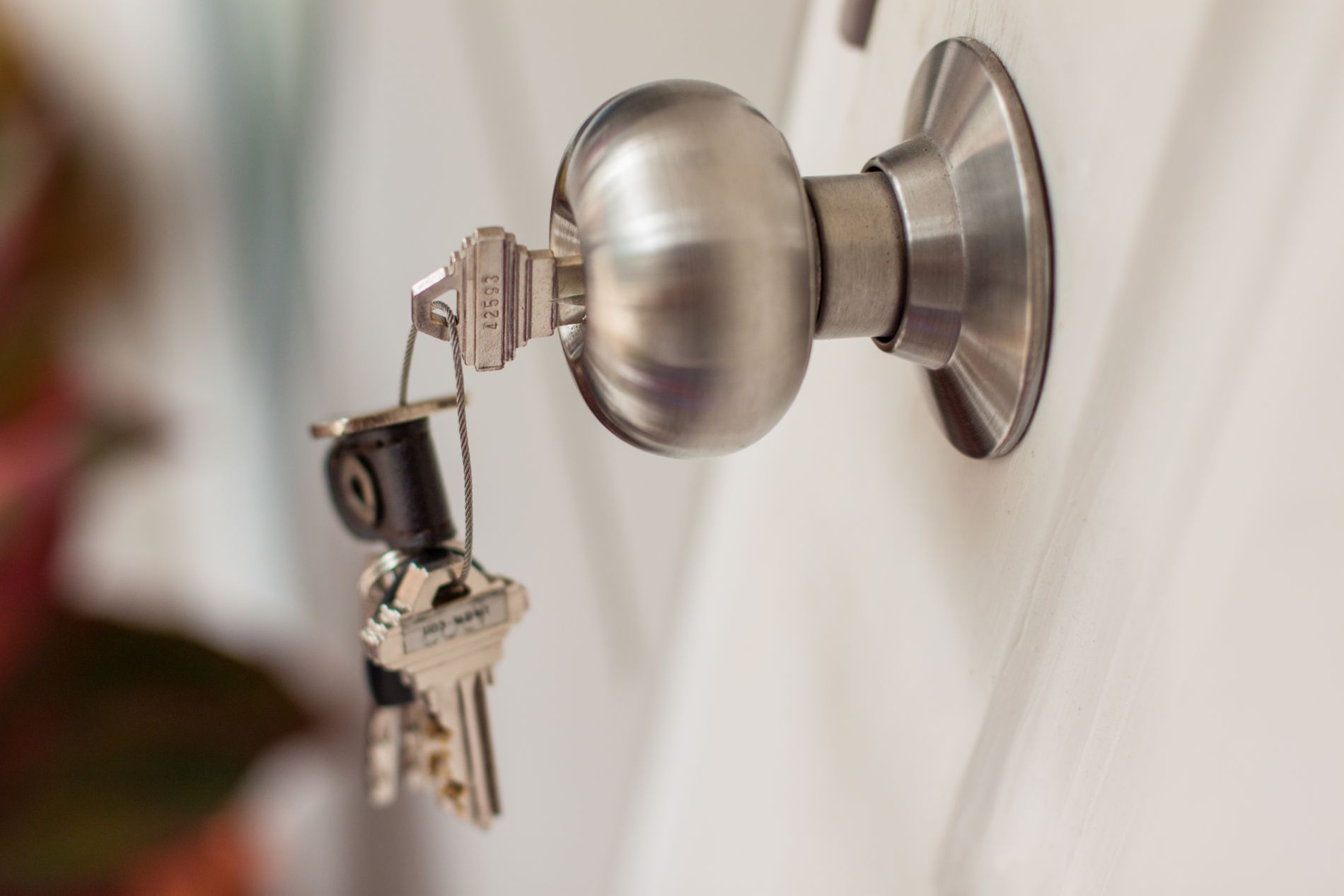 lucidatura pomello porta