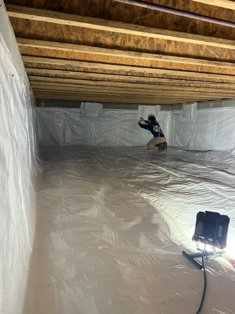 Person inspecting a building's foundation, pointing at the wall while holding a clipboard.