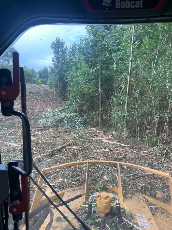 A person is driving a bulldozer through a forest.