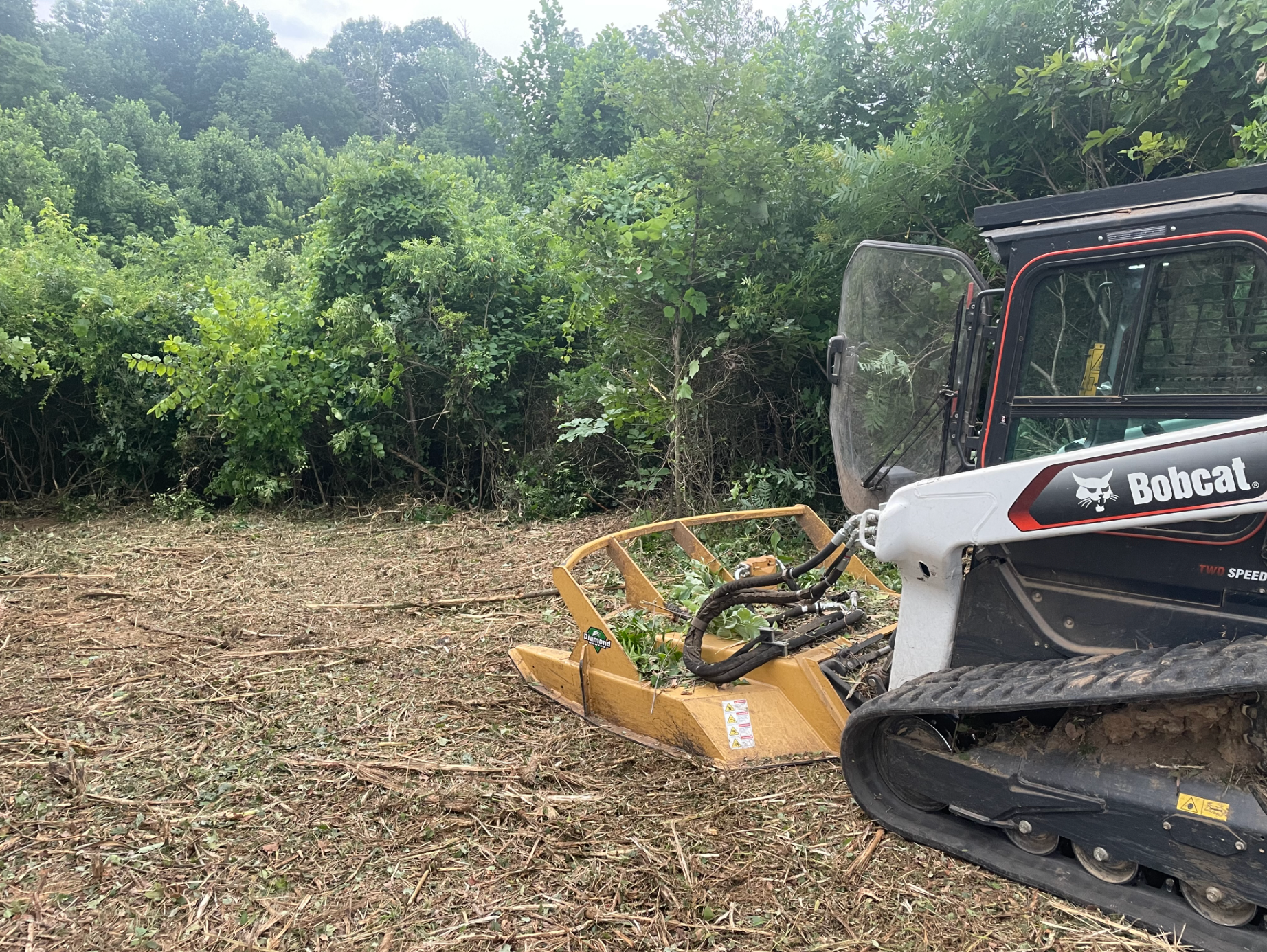 A bobcat tractor is cutting down trees in a field.