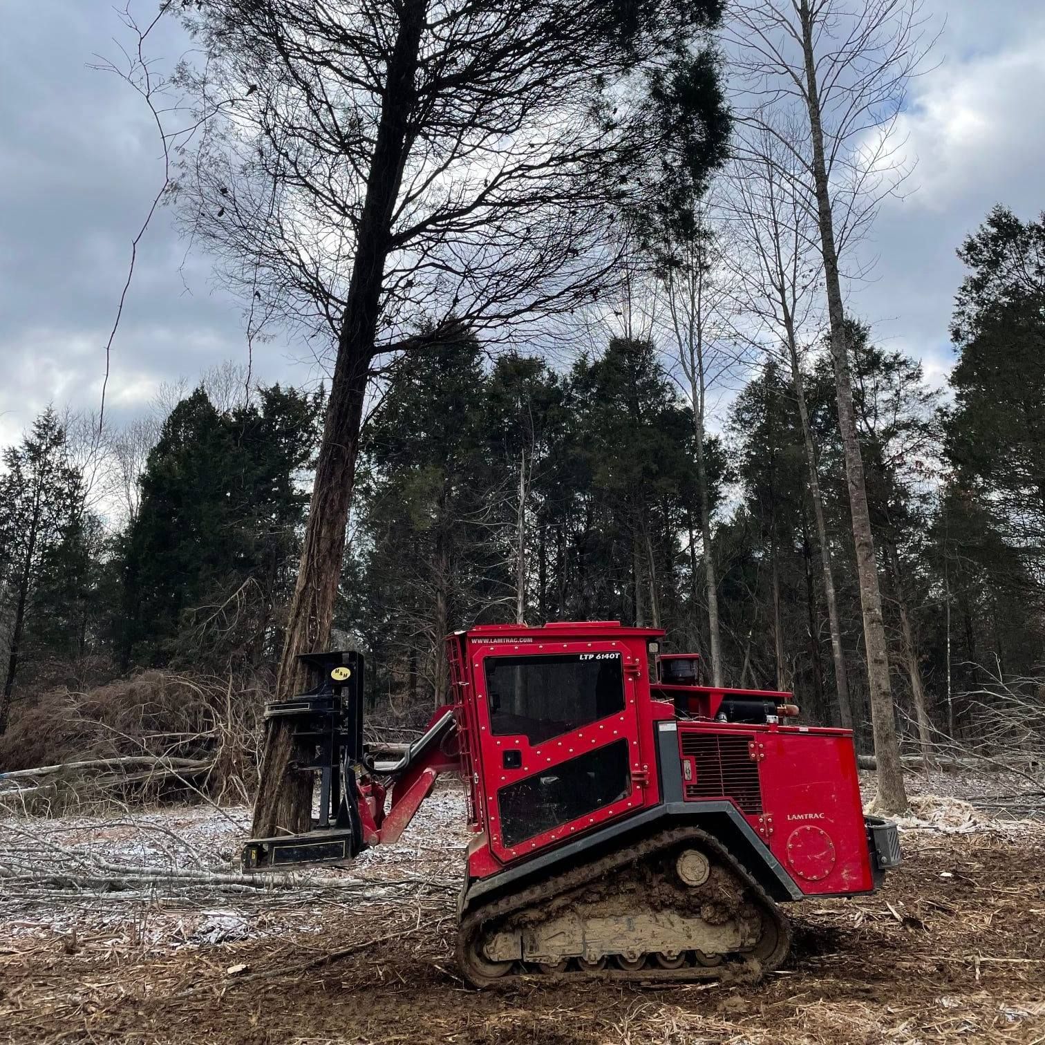 A red tractor is cutting down trees in the woods.