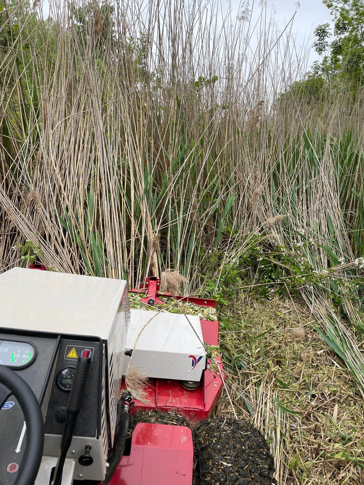 A red lawn mower is cutting tall grass in a field.