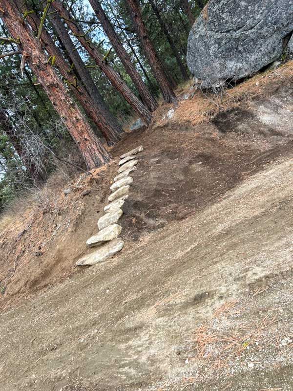 Stone steps ascending a dirt hillside in a forest. Tall trees on the left, a large rock on the right.