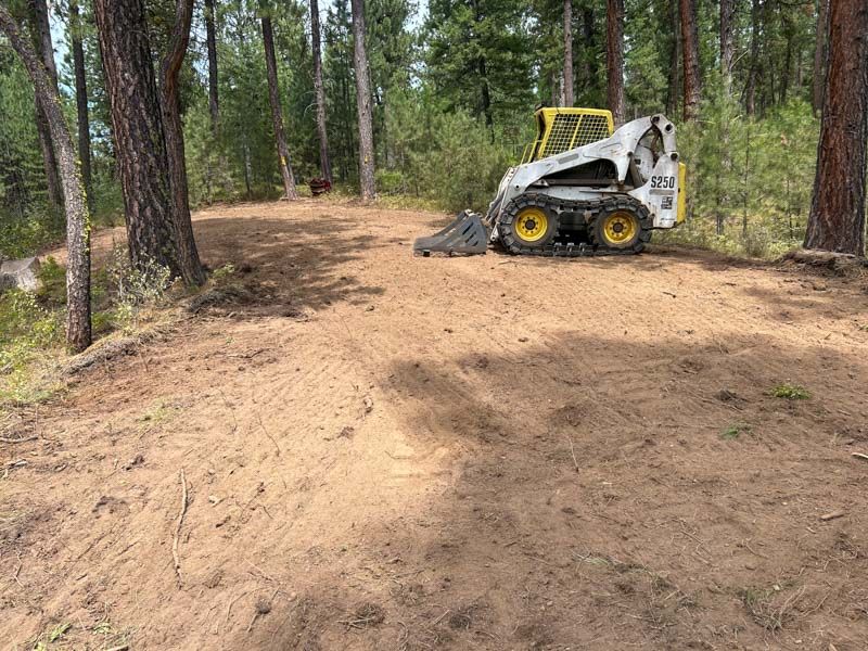 Bobcat on a dirt path in a wooded area, grading the terrain.