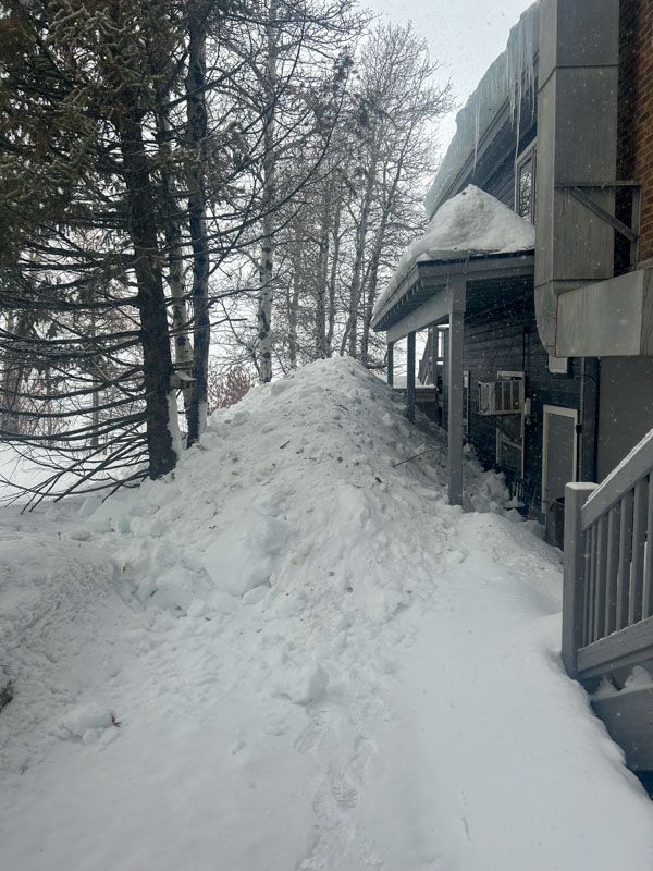 Snow-covered path beside a building. Large snow pile blocks porch access. Trees and steps are visible.