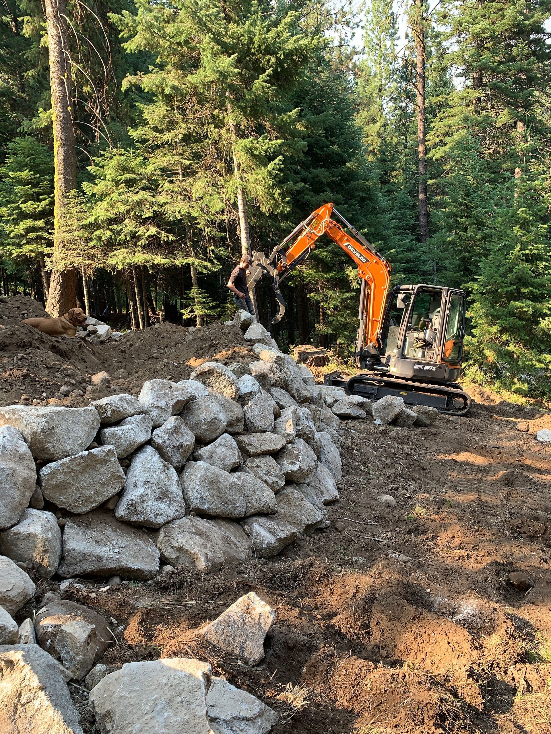 Stone steps ascending a dirt hillside in a forest, with tall trees and a large boulder nearby.